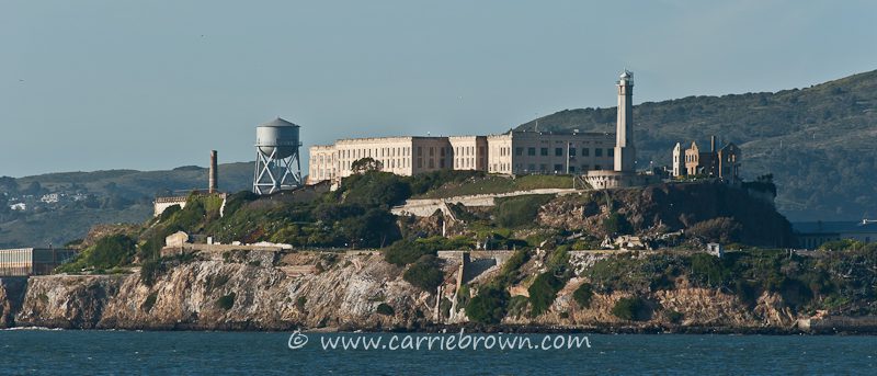 Carrie Brown  |  Alcatraz